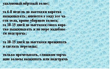 Подпись: удаляемый мёртвый волос;

за 6-8 недель до выставки коротко 
выщипывать; имеются в виду все ча-
сти тела, кроме уборного волоса;
за 10-15 дней до выставки снова коро-
тко выщипывать и по мере надобнос-
ти подстричь; 

за 10-15 дней до выставки прощипать
и сделать переходы; 

только прочесывать, слишком торча-
щие волосы выщипать или подстричь 

